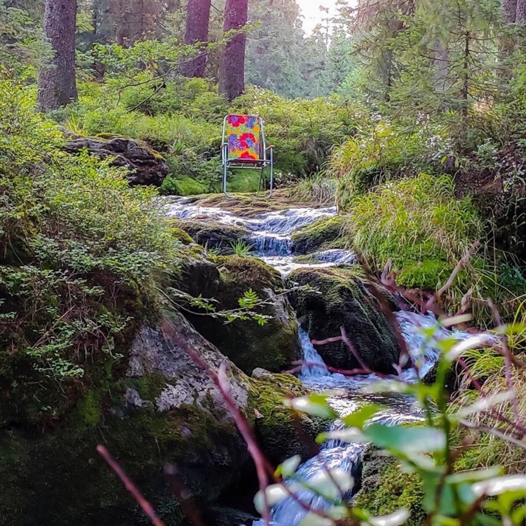 Bonusfolge: Meditative Wald-Sounds zum Entspannen