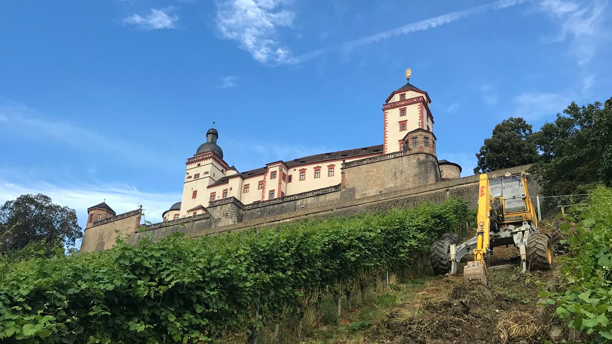 Ein Schreitbagger im Schlossberg der Würzburger Festung.