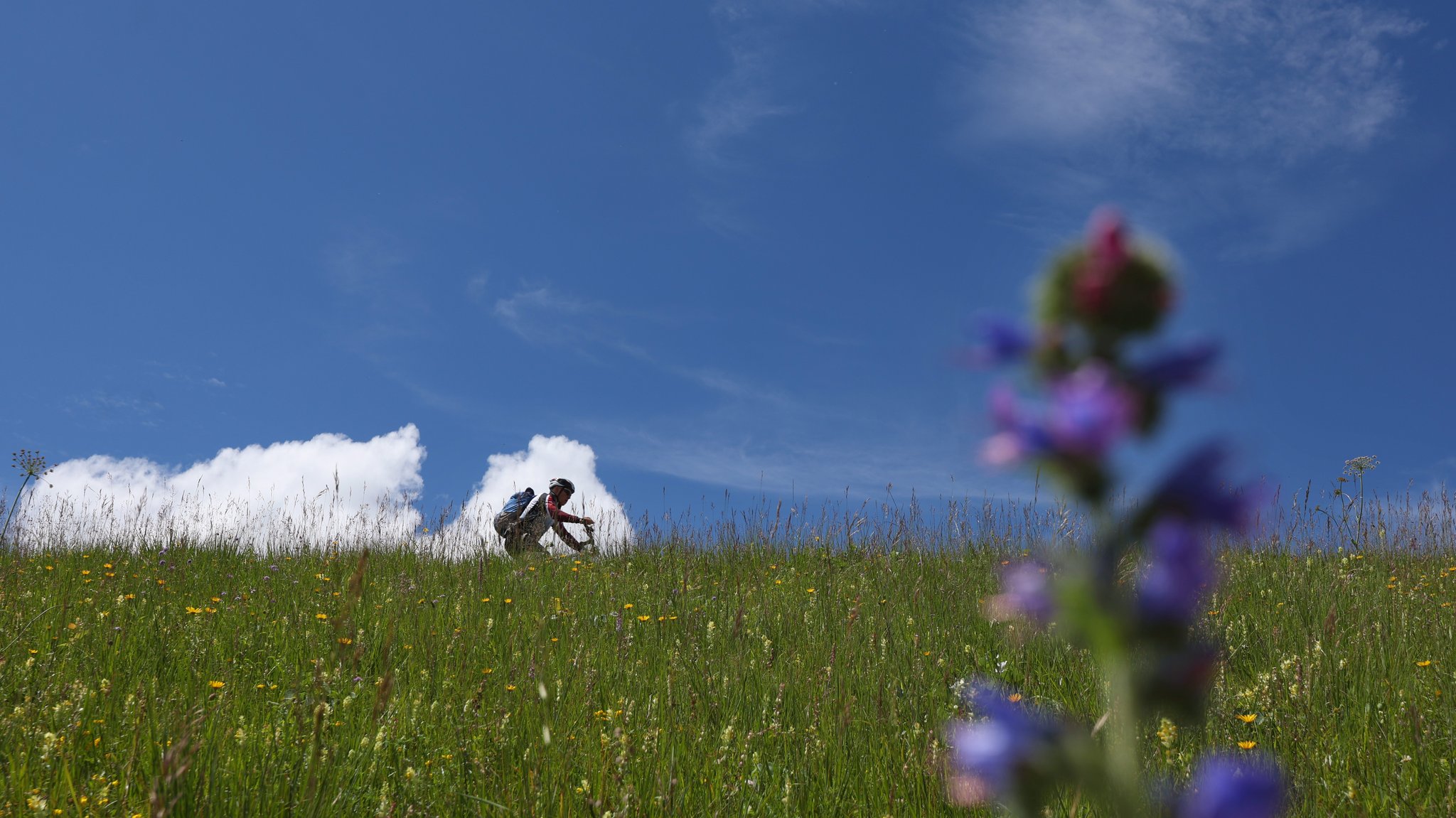 Der Sommer kommt – mit viel Sonne, aber auch Gewittern