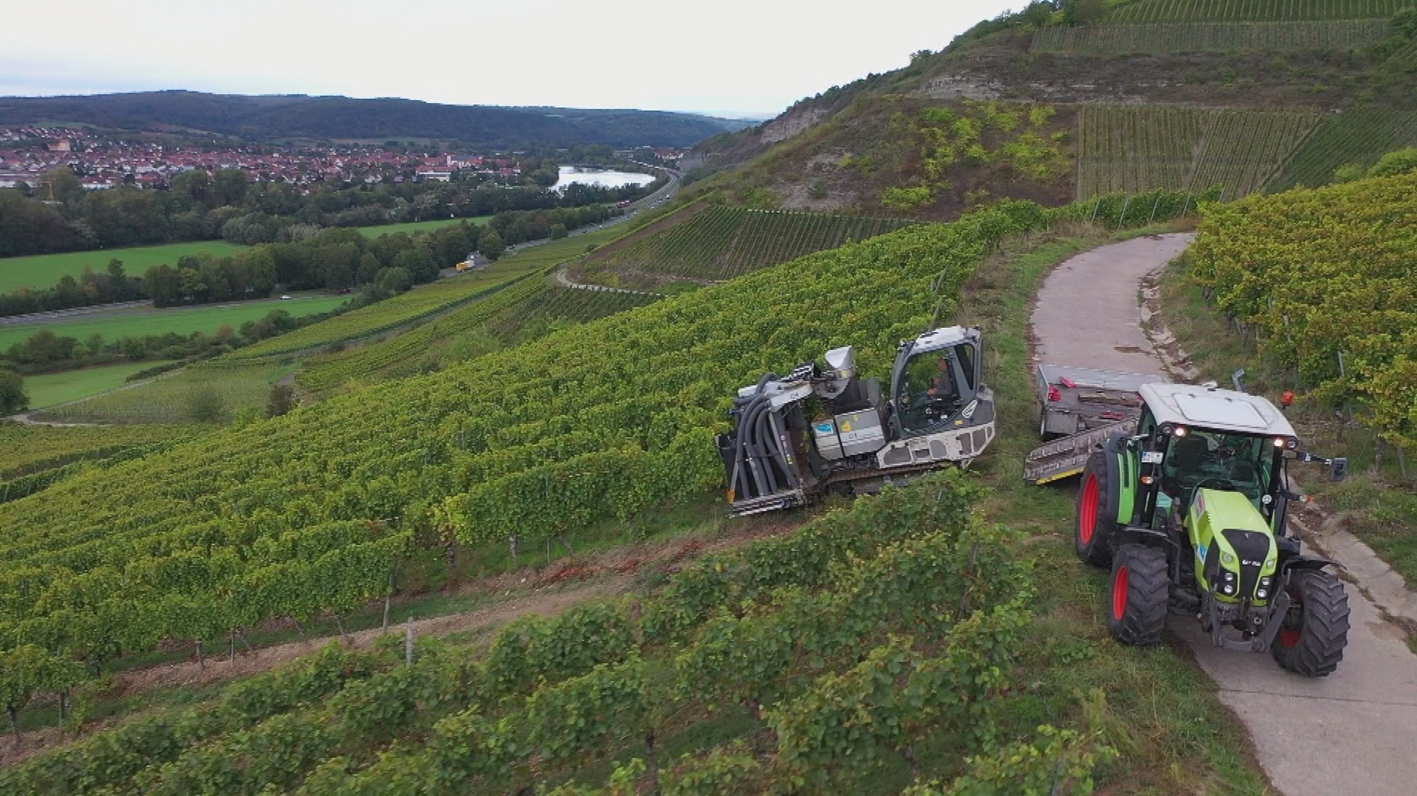 Weinlese mit dem Steillagenvollernter in den Weinbergen bei Thüngersheim. 