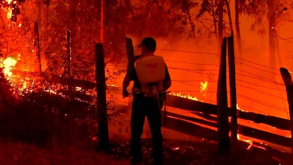 Waldbrände in Chile 