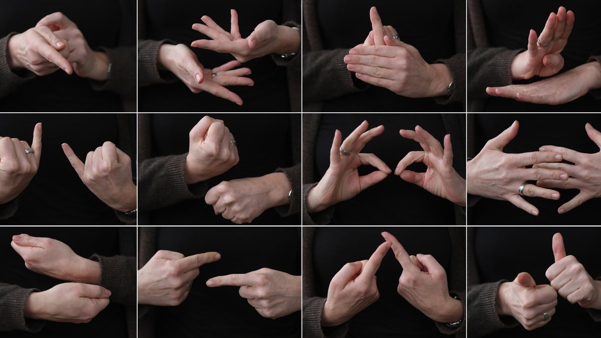 Die Bildkombo zeigt die Hände von Gebärdendolmetscherin Kathrin-Marén Enders, die ihre Finger sprechen lässt. 