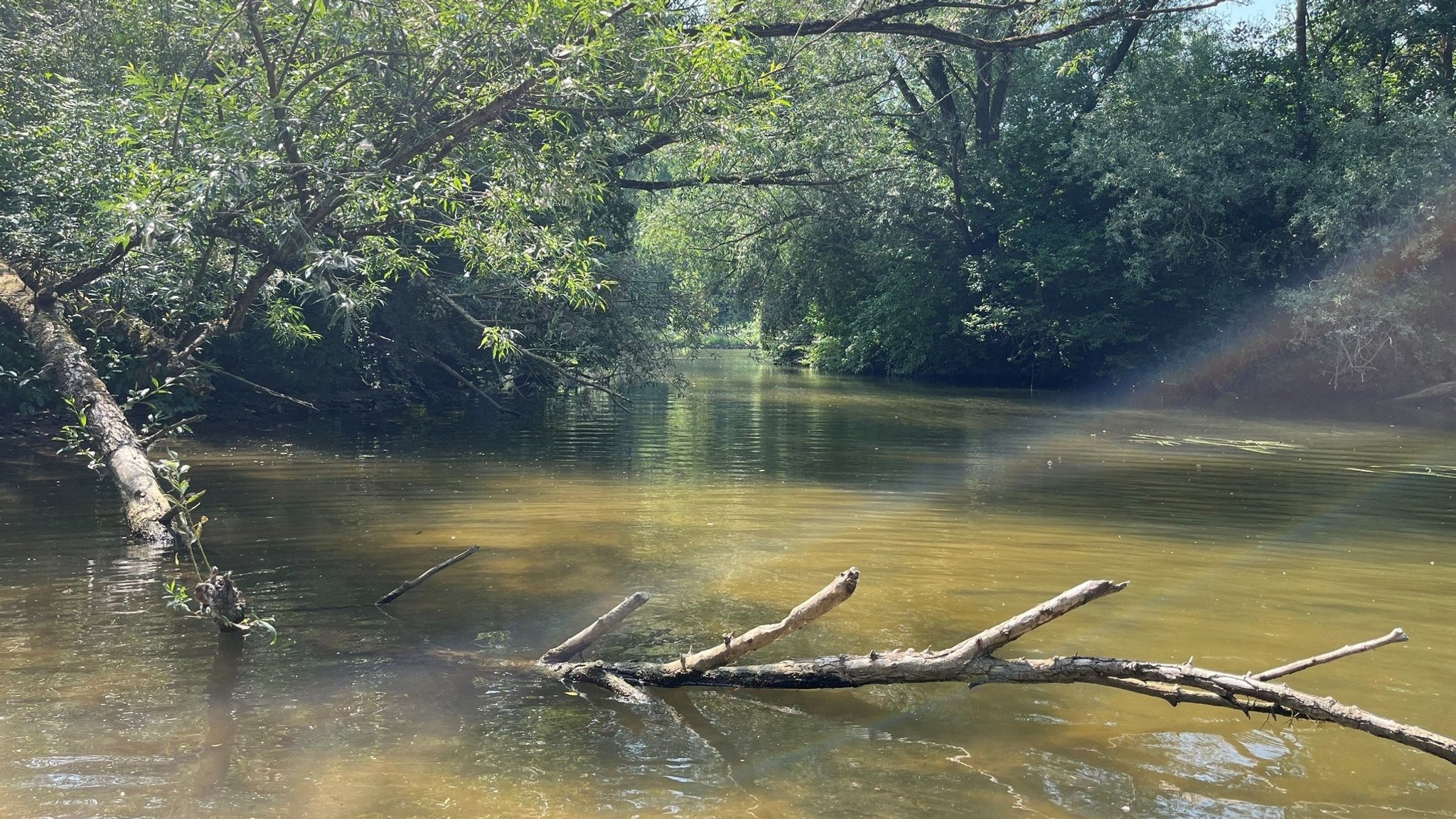 Die Fränkische Saale ist wieder für Wassersportler geöffnet.