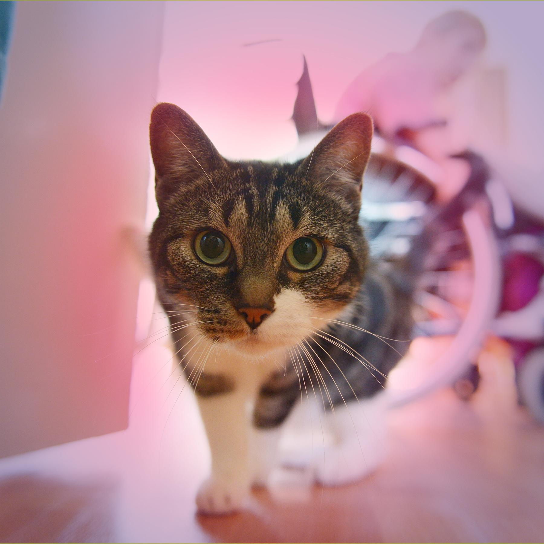 Martina Hefter: Es könnte auch schön werden