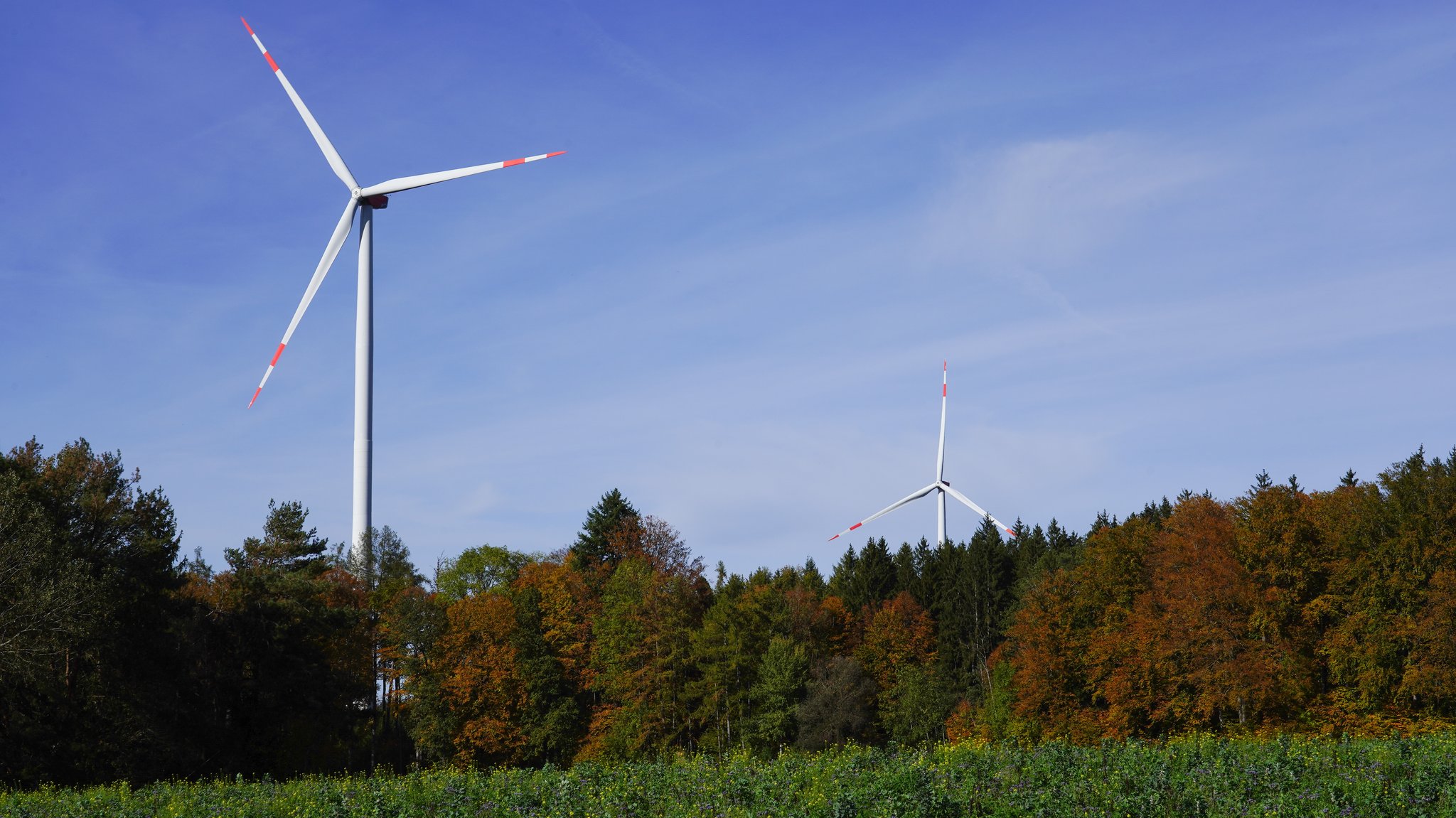 Zwei Windräder stehen in einer bewaldeten Landschaft.