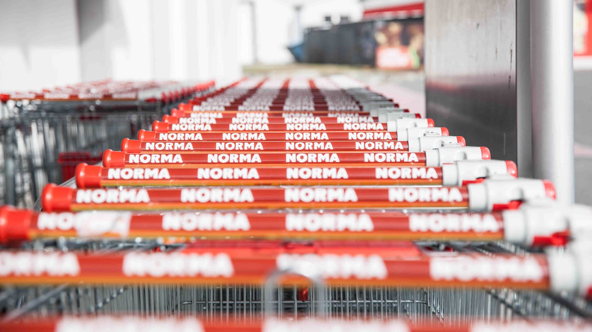 Einkaufswagen bei Norma (Archiv- und Symbolbild) | Bild: picture alliance|Fotostand/K. Schmitt Einkaufswagen bei Norma (Archiv- und Symbolbild)