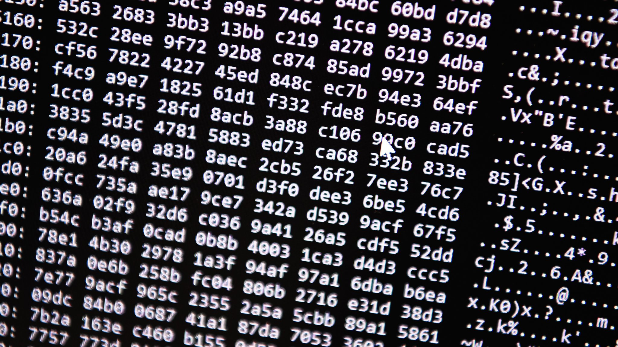 Die Zahl der Cyberangriffe in Bayern bleibt eine große Gefahr. 48.000 Hackerangriffe wurden 2025 angezeigt. | Bild: dpa/Nicolas Armer Die Zahl der Cyberangriffe in Bayern bleibt eine große Gefahr. 48.000 Hackerangriffe wurden 2025 angezeigt.