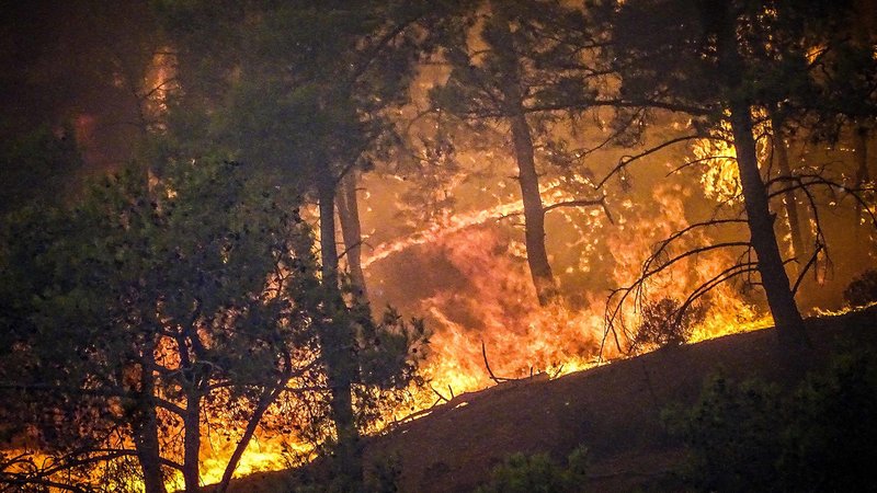 Tausende Touristen müssen fliehen - vor den Feuern auf der griechischen Insel Rhodos.