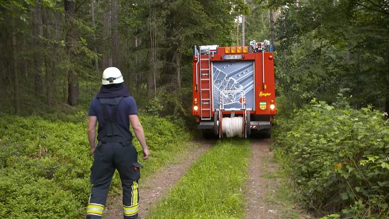Feuerwehrauto fährt durch Wald.