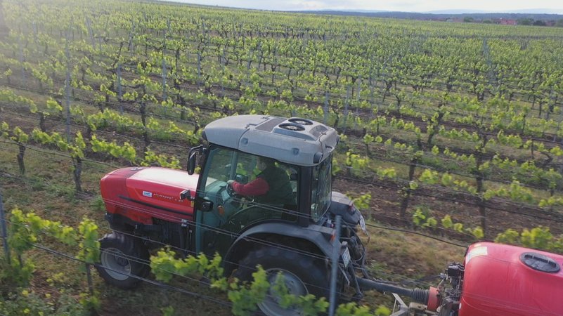 (Symbolbild) Winzer beim Pflanzenschutz im Weinberg in Unterfranken | Bild: Bayerischer Rundfunk 2025 (Symbolbild) Winzer beim Pflanzenschutz im Weinberg in Unterfranken