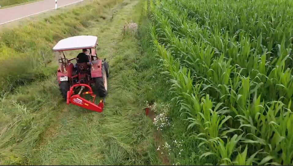 Traktor mit Messerbalken mäht Grünstreifen zwischen Kreisstraße und Maisfeld