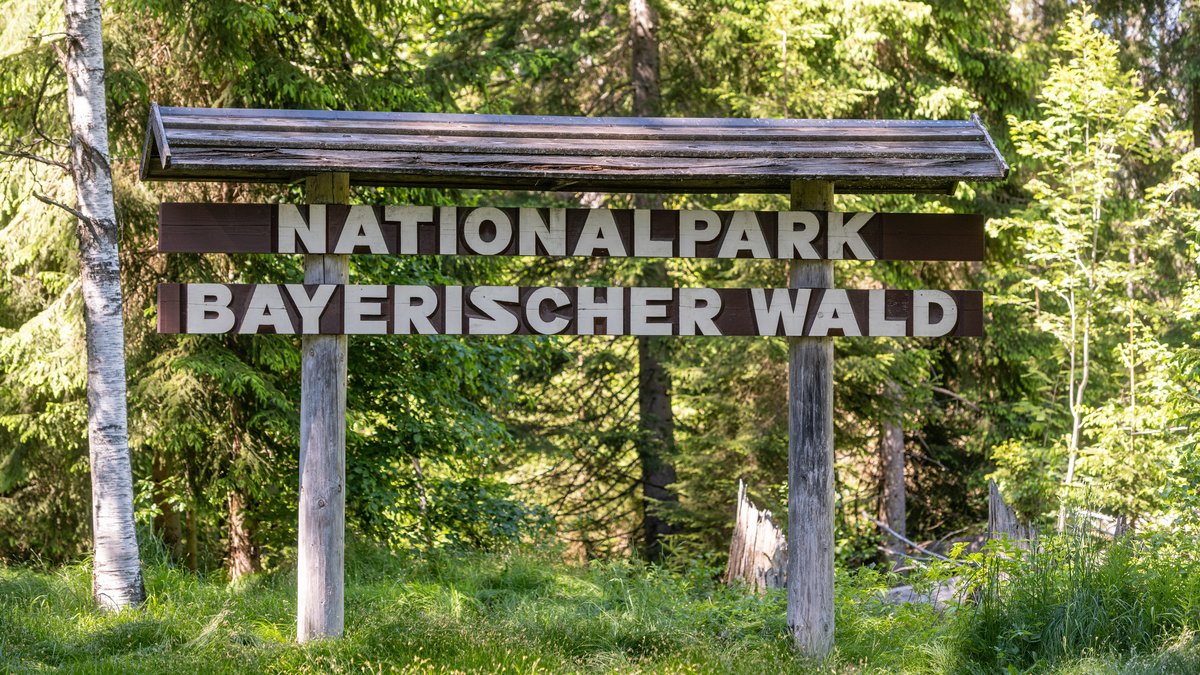 Schriftzug "Nationalpark Bayerischer Wald"