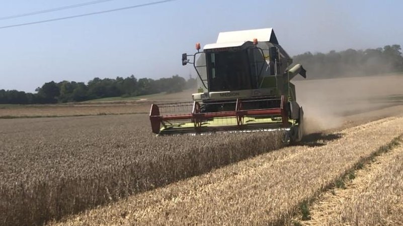 Mähdrescher auf einem Weizenfeld | Bild: BR Mähdrescher auf einem Weizenfeld
