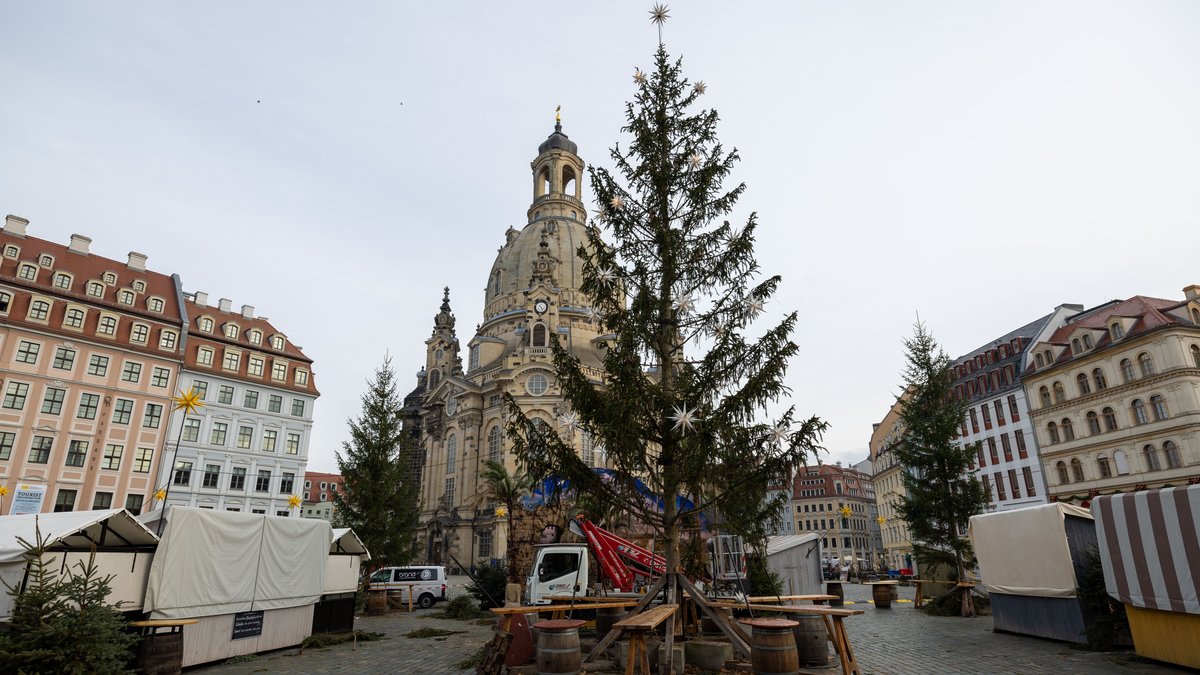 Ein ungeschmückter Christbaum mit wenig Zweigen, aufgestellt für den historischen Weihnachtsmarkt