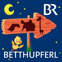 Der Weg zum Tierpark, I (5/5): Der Biber | Bild: colourbox, Collage BR