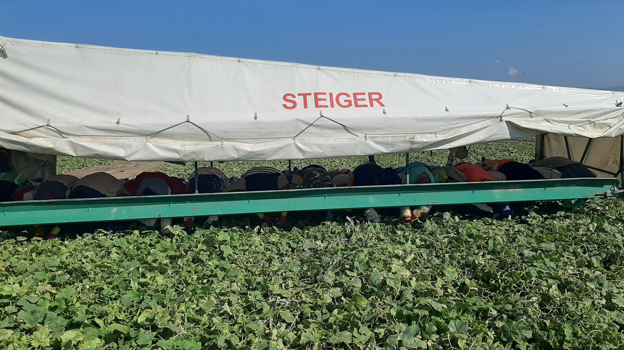 Die Gurkenflieger von Niederbayern - noch fliegen sie