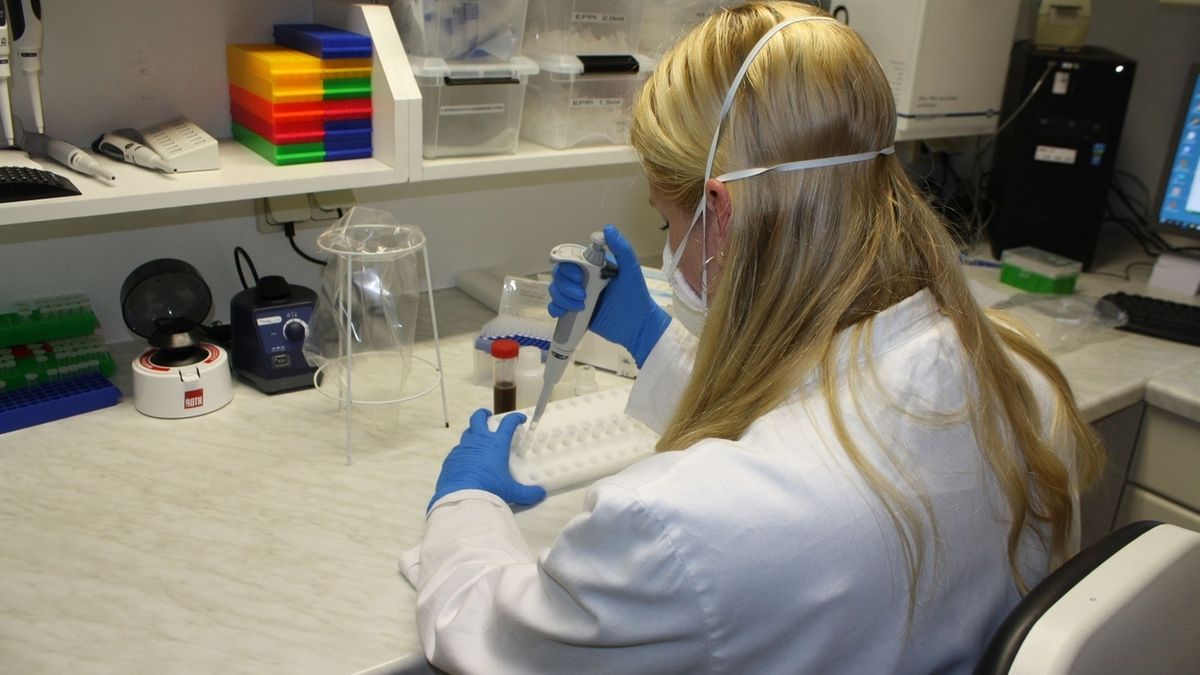 Corona-Tests: Labor-Mitarbeiterin untersucht Proben