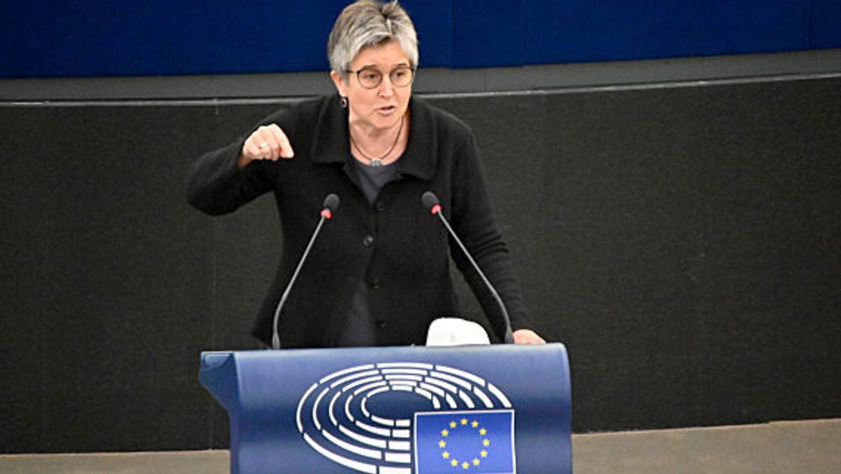 Maria Noichl im EU-Parlament