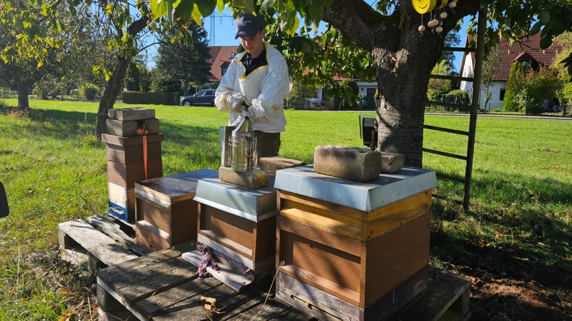Fünf Bienenvölker hat Julian Thoma in Regelsbach bei Schwabach stehen | Bild: BR/Christine Weirauch Fünf Bienenvölker hat Julian Thoma in Regelsbach bei Schwabach stehen