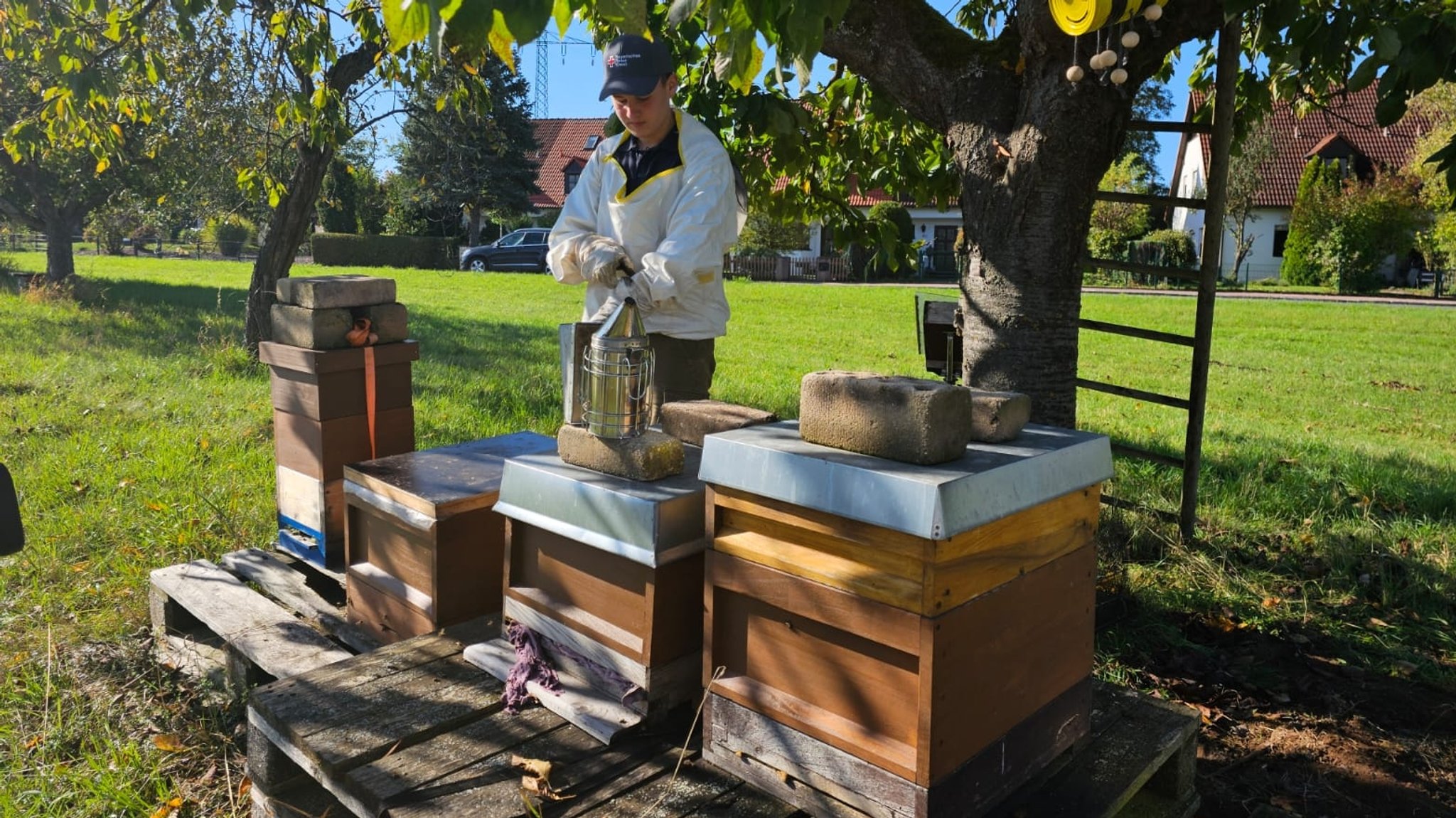 Jungimker aus Schwabach: Mit den Bienenkumpels unterwegs