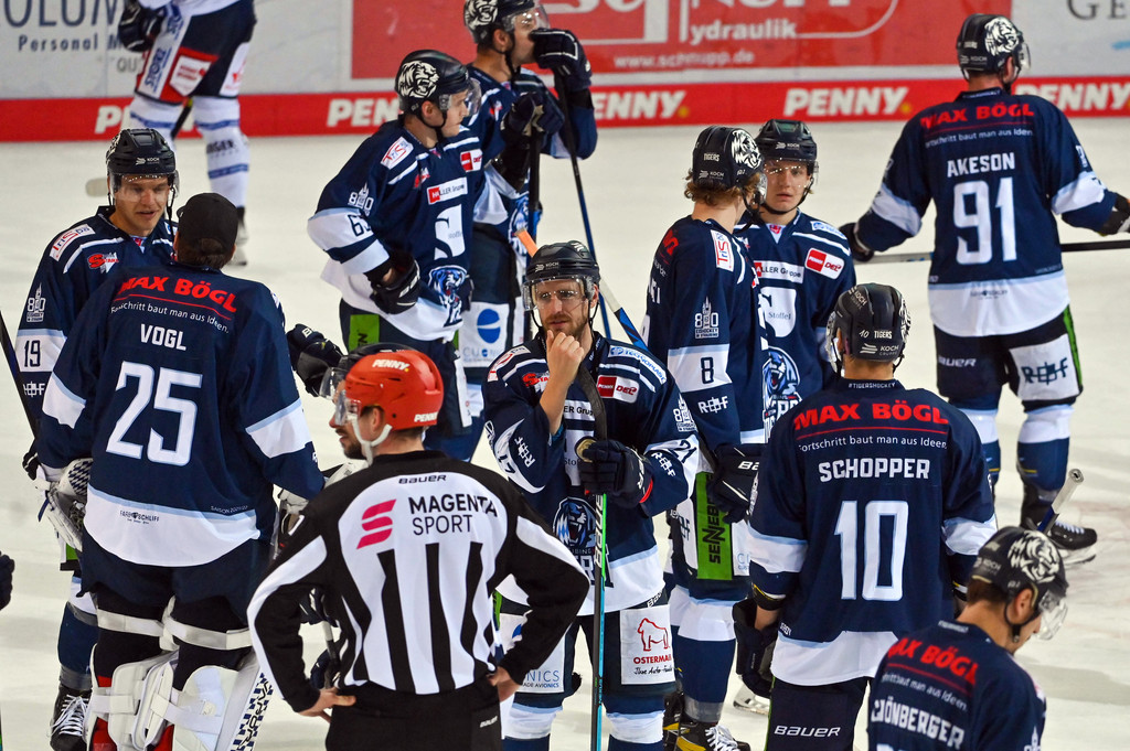 Eishockeyspieler der Straubing Tigers stehen auf dem Eis 