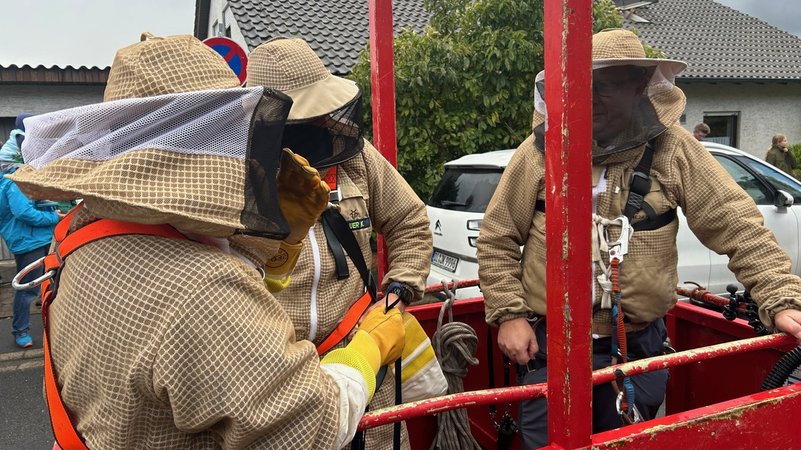 Experten mit speziellen Schutzanzügen werden von einem Kran in die Baumkrone gehoben, um ein Hornissennest zu entfernen. | Bild: BR / Achim Winkelmann Experten mit speziellen Schutzanzügen werden von einem Kran in die Baumkrone gehoben, um ein Hornissennest zu entfernen.