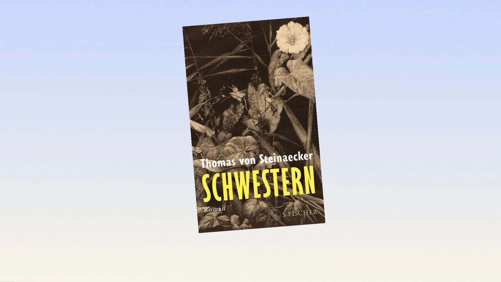 Das Coverbild von Thomas von Steinaeckers neuem Roman "Schwestern". | Bild: S. Fischer-Verlag Das Coverbild von Thomas von Steinaeckers neuem Roman "Schwestern".
