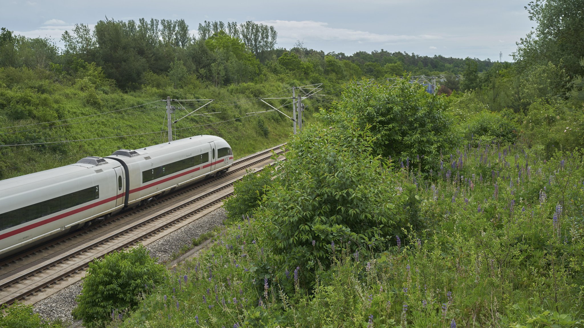 Stellwerksschaden: Probleme auf Bahnstrecke Nürnberg–München