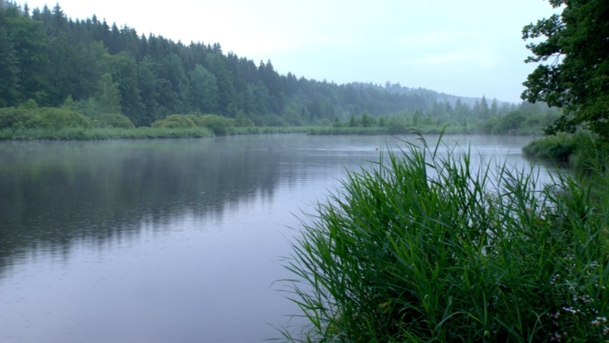 Der Deininger Weiher, hier noch bei kälteren Temperaturen. 