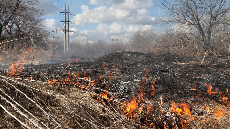 21.02.22: Brennendes Gras in der ostukrainischen Region Donezk.