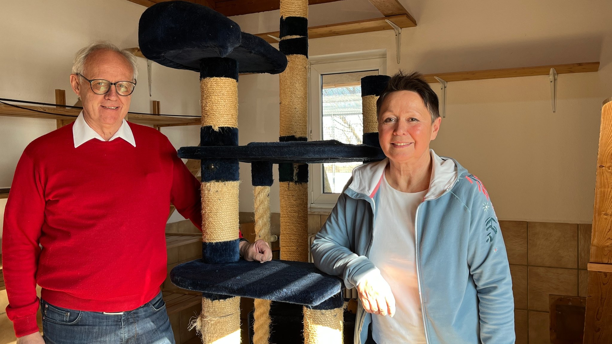 Klaus Finkenwirth und Martha Ille stehen neben einem großen Kartzenbaum im leeren Katzenhaus des Marktoberdorfer Tierheims