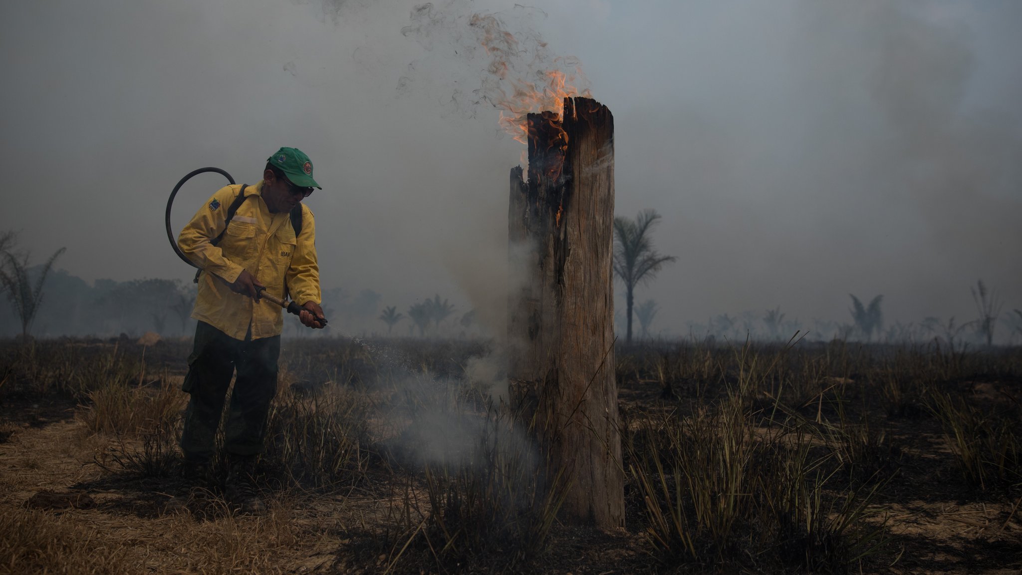 Feuerwehrmann bei Löschversuchen in einem illegalen Brandrodungsgebiet am Amazonas