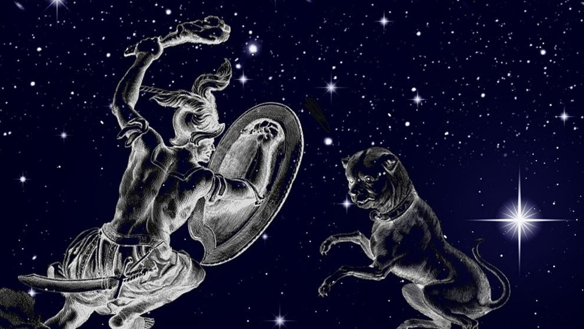 Symbolbild für die Sternbilder Orion und Großer Hund vor dem Sternenhimmel