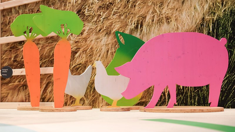 Aufsteller in Form von Karotten, Hühnern, einem Pferd und Schwein stehen in einer Halle auf der Grünen Woche. | Bild: dpa-Bildfunk/Hannes P Albert Aufsteller in Form von Karotten, Hühnern, einem Pferd und Schwein stehen in einer Halle auf der Grünen Woche.