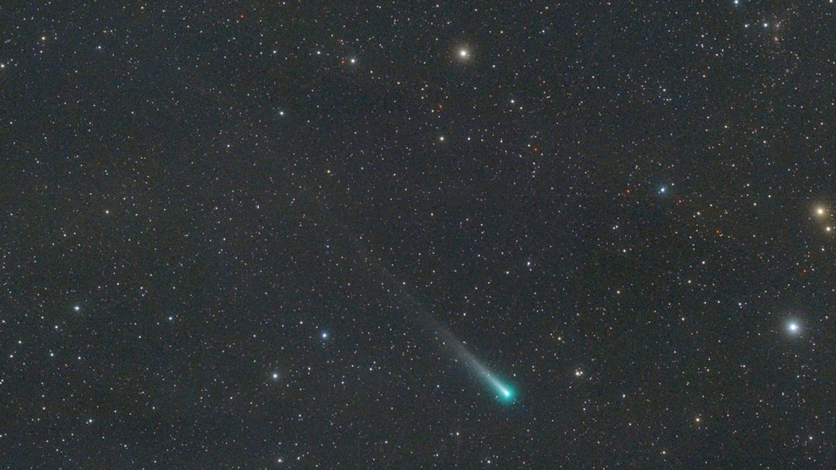 Allerdings ist der Schweif von Komet Leonard so lichtschwach, dass er selbst im Fernglas kaum zu erkennen ist.