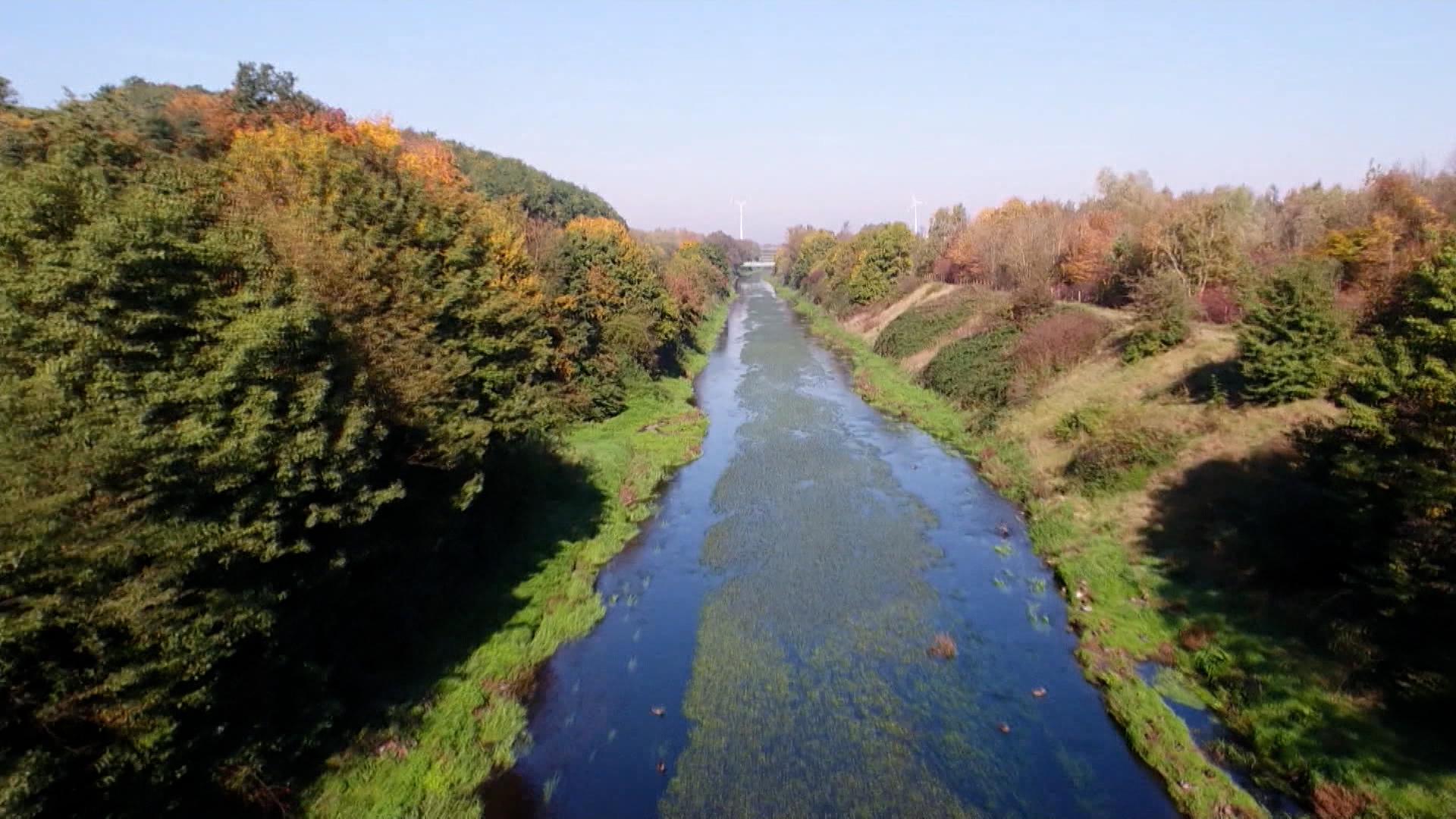 EU-Parlament stimmt umstrittenen Renaturierungsgesetz zu