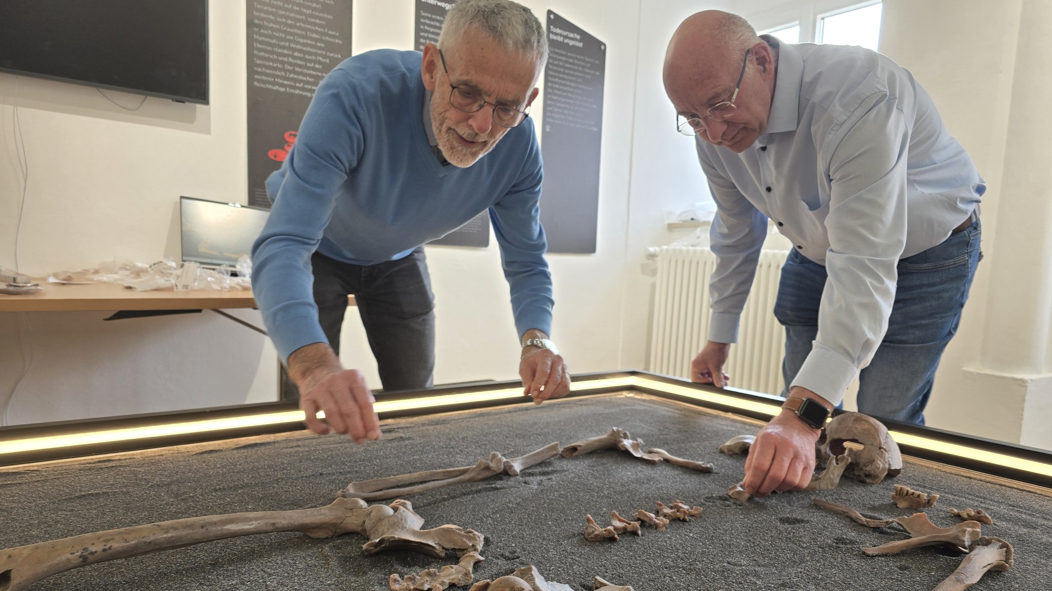 Orthopäde Rudolf Dietz und Essings Bürgermeister Jörg Nowy puzzeln das Skelett des "Mannes von Neuessing" aus 67 Einzelteilen zusammen.