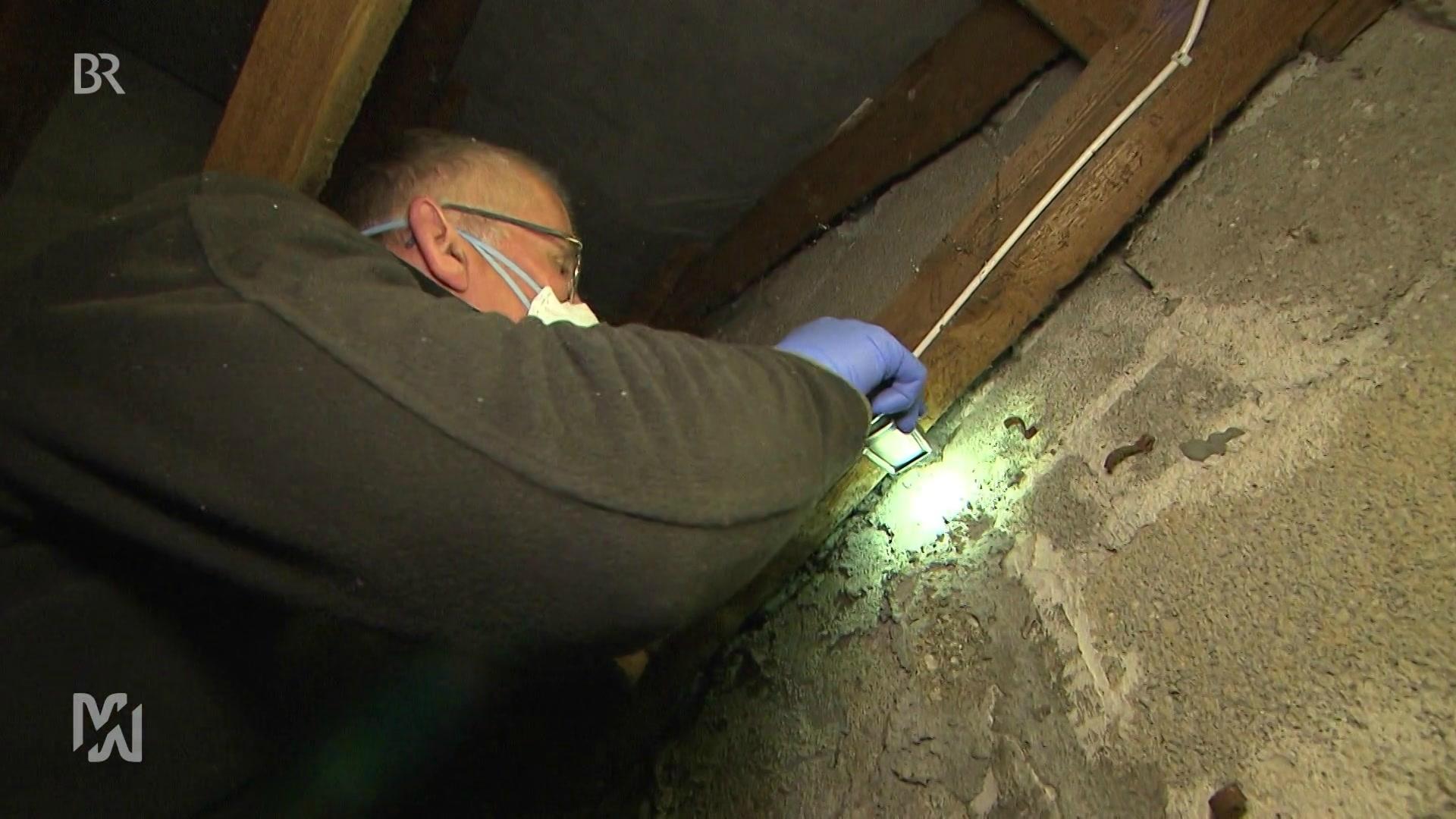 Mehr Wert 28 05 Schadlingsbekampfung