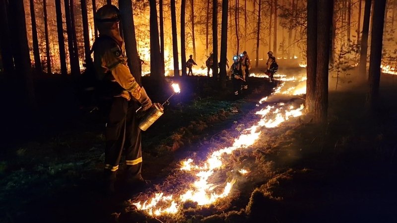 Einsatzkräfte der Hilfsorganisation @fire legen Gegenfeuer, um eine weitere Ausbreitung des Waldbrandes zu verhindern.