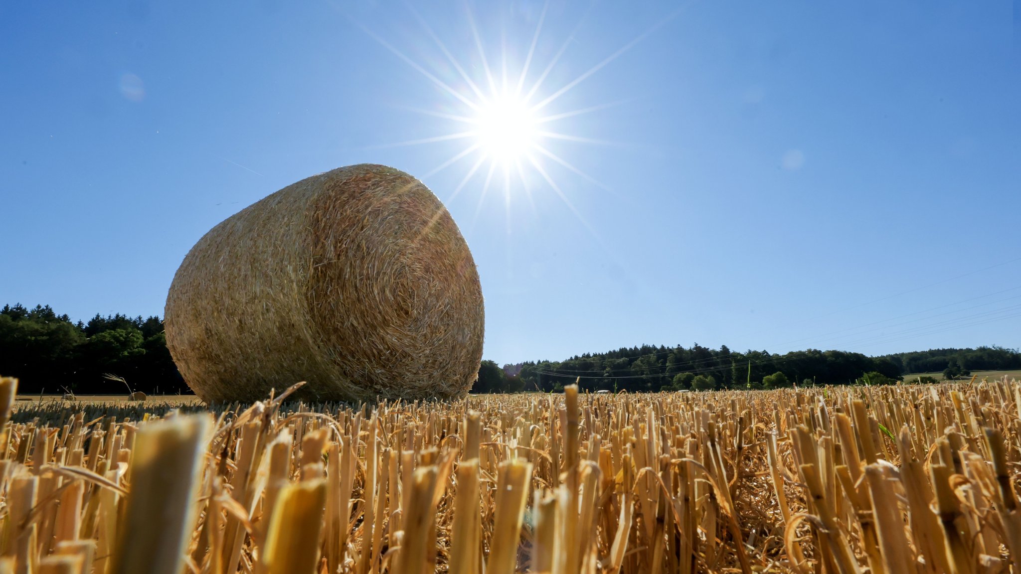 Hitze in Bayern: Sorge vor Waldbränden und zu warmen Flüssen