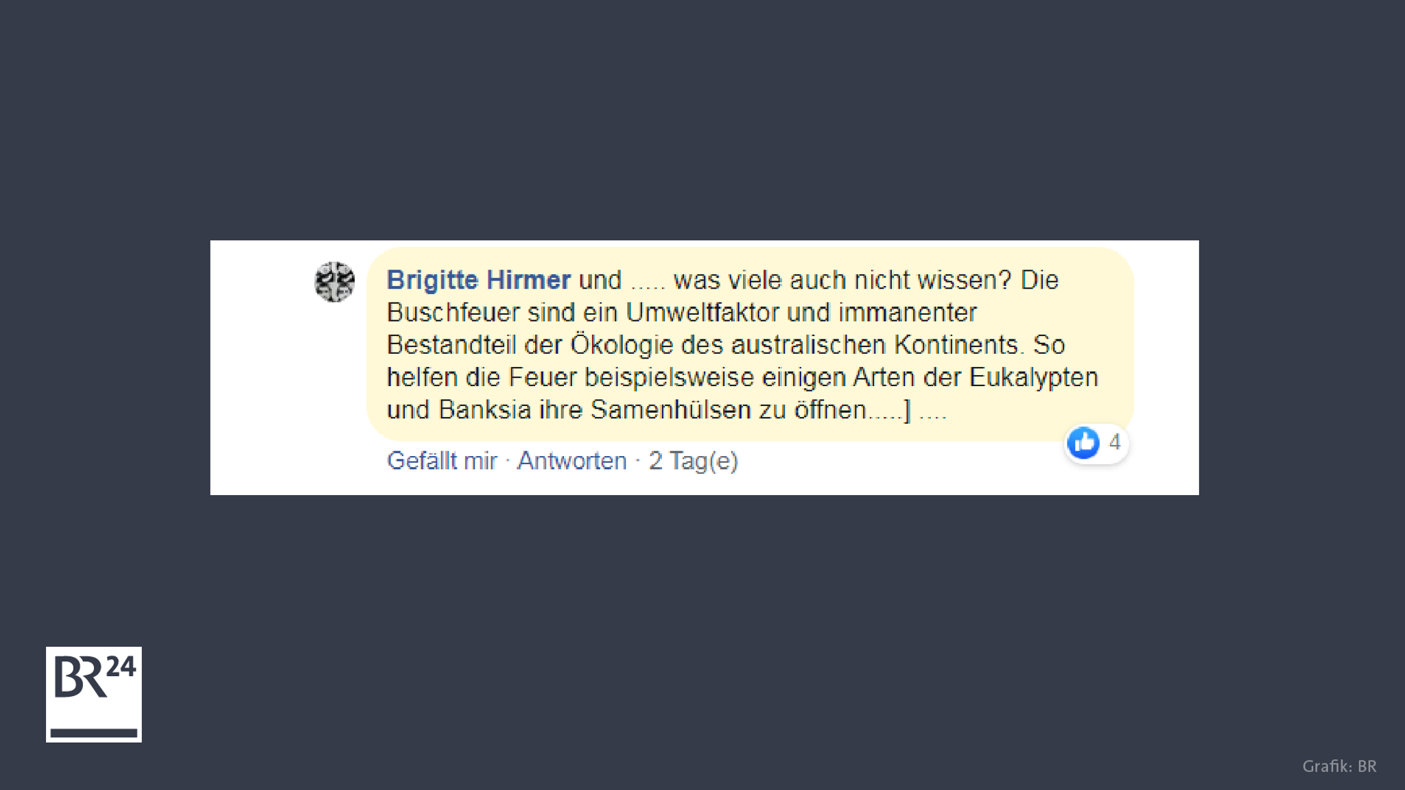 Ein BR24-Nutzerkommentar