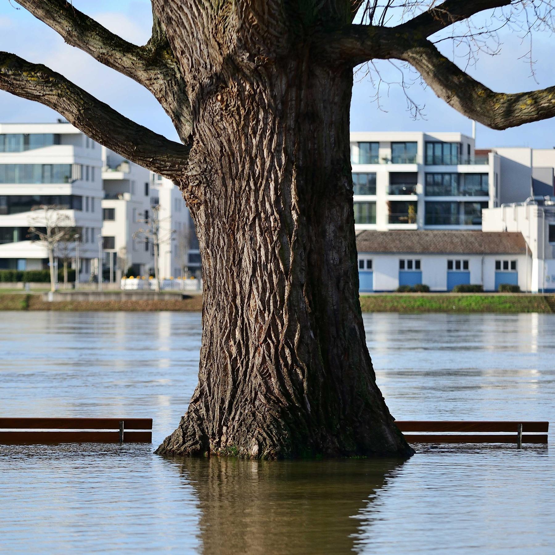 Hitze, Dürre, Starkregen - Ist "Extrem" das neue "Normal"?