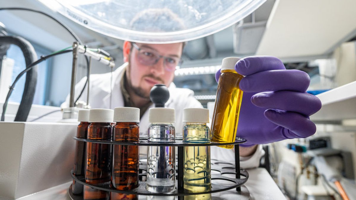 Ein Laborant inspiziert Reagenzgläser in einem Labor (Symbolbild)  