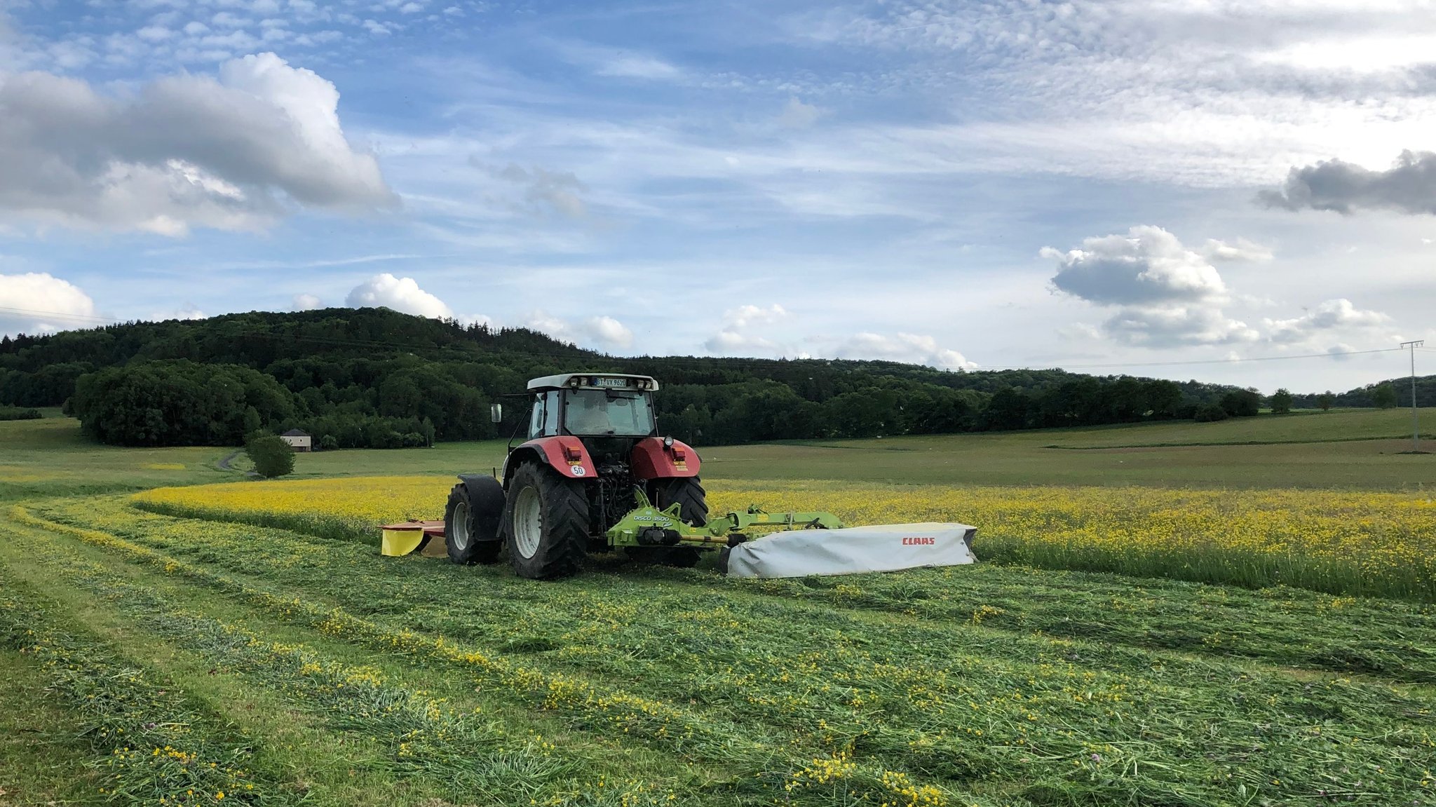 Traktor mit Mähwerk