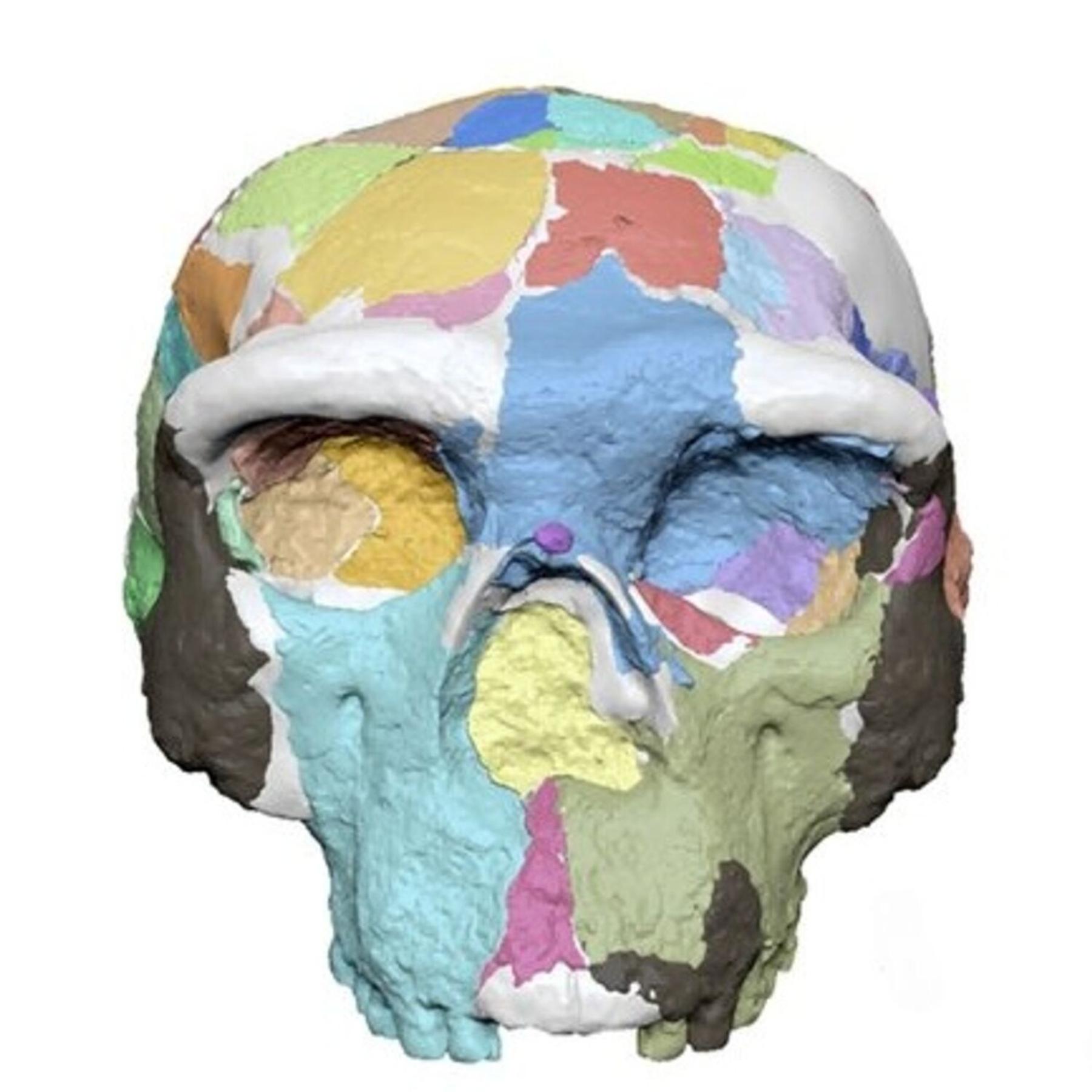 Homo sapiens - Ist er älter als gedacht und kommt aus Asien? | IQ-Short