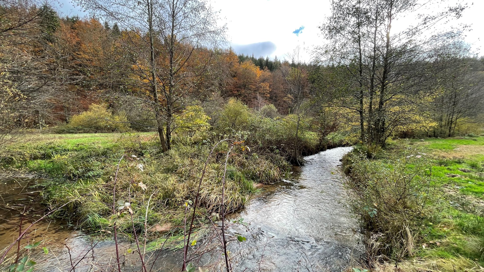 Fast zerstört, jetzt Naturwunder-Kandidat: Das Hafenlohrtal