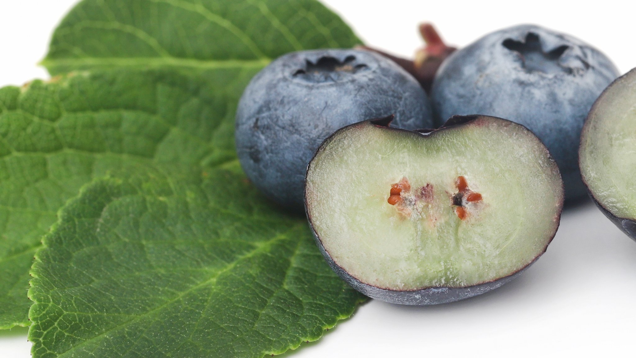 Einige Kulturheidelbeeren, wovon eine aufgeschnitten ist, sodass man das grünlich-gelbe Fruchtfleisch sieht.