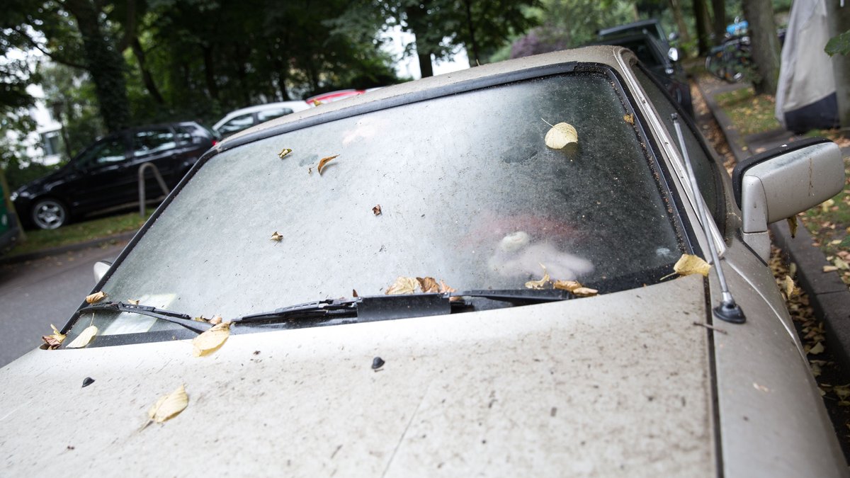 Klebeschicht auf Autos: Wie entfernt man Honigtau?