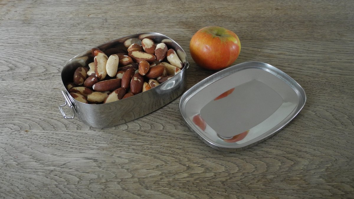 Drei Handvoll Paranüsse in einer geöffneten Vesperbox aus Edelstahl, daneben liegt ein Apfel auf dem Holztisch 