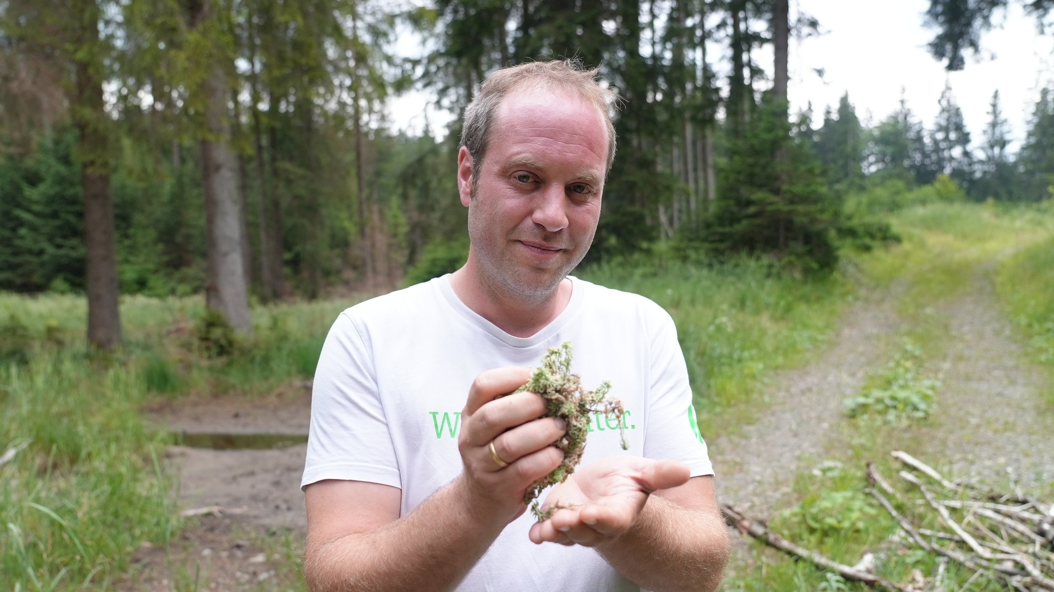 Förster Sebastian Neubauer hält ausgetrocknetes Moos in der Hand